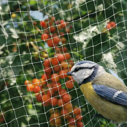 Filet de protection anti-oiseaux à mailles fines pour jardin, balcon & étang
