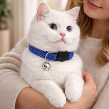 Cat collar with safety clasp & bell | Adjustable