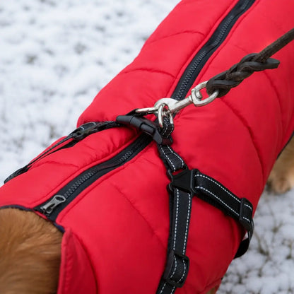 Wasserdichter Winter Hundemantel mit Geschirr | Warme Hundejacke