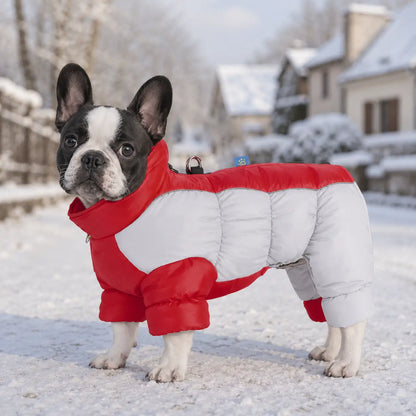 Hundemantel Wasserdicht Warm Reflektierend für Kleine Hunde