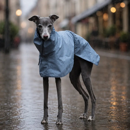 Hundemantel wasserdicht | Hunde-Regenmantel für Herbst & Winter