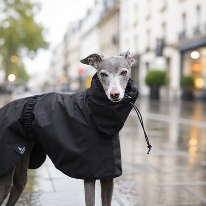 Hundemantel wasserdicht | Hunde-Regenmantel für Herbst & Winter