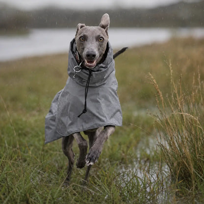 Hundemantel wasserdicht | Hunde-Regenmantel für Herbst & Winter