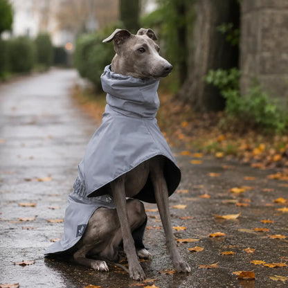 Hundemantel wasserdicht | Hunde-Regenmantel für Herbst & Winter