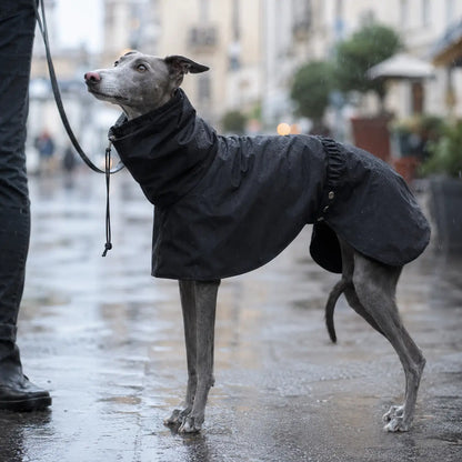 Hundemantel wasserdicht | Hunde-Regenmantel für Herbst & Winter