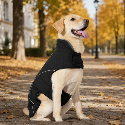 Hundemantel wasserdicht | Warme Winterjacke für Hunde