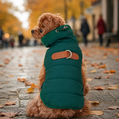 Winter-Hundemantel für kleine Hunde | Warm & winddicht