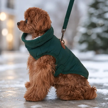 Winter-Hundemantel für kleine Hunde | Warm & winddicht
