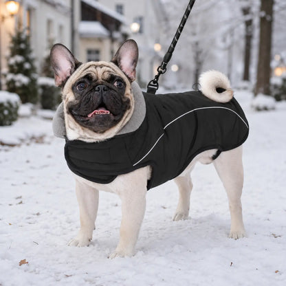 Hundemantel wasserdicht | Warme Winterjacke für Hunde
