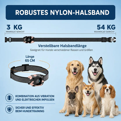 Automatisches Anti-Bellen Hund Halsband | Wasserdicht