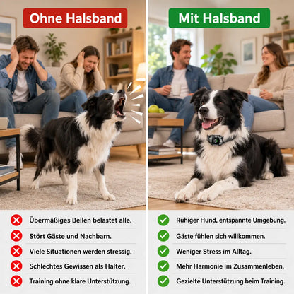 Automatisches Anti-Bellen Hund Halsband | Wasserdicht
