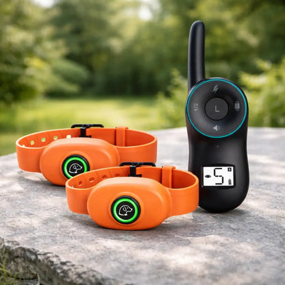 Anti-Bell Hunde Halsband mit Fernbedienung | Wasserdicht & USB