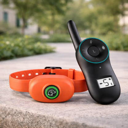 Anti-Bell Hunde Halsband mit Fernbedienung | Wasserdicht & USB