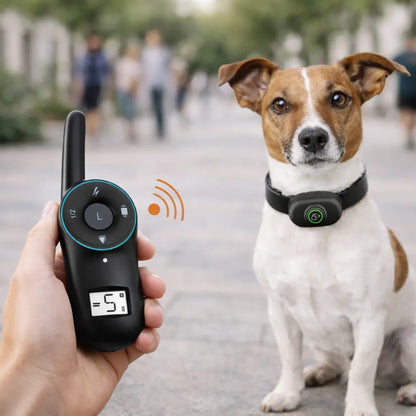 Anti-Bell Hunde Halsband mit Fernbedienung | Wasserdicht & USB