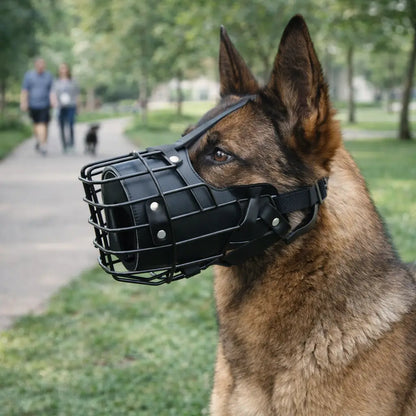 Muselière pour chien en acier inoxydable | Réglable & respirante