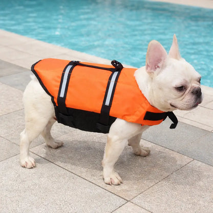Schwimmweste Hund | Sicherer Auftrieb & Griff