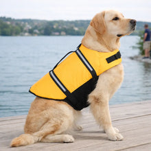 Dog Life Jacket | Secure Buoyancy & Handle