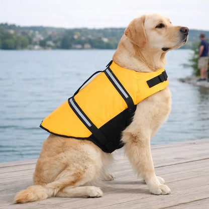Schwimmweste Hund | Sicherer Auftrieb & Griff
