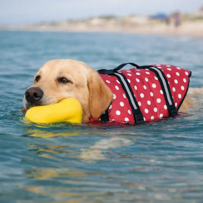 Schwimmweste Hund | Sicherer Auftrieb & Griff