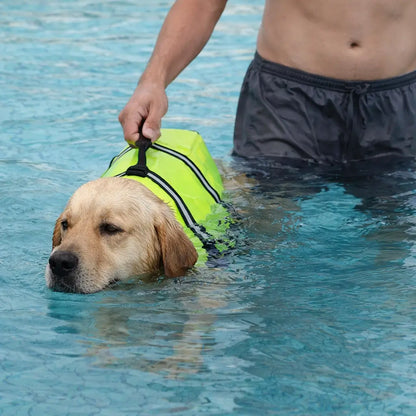 Schwimmweste Hund | Sicherer Auftrieb & Griff