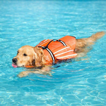 Dog Life Jacket with Chin Rest | Secure Buoyancy & Adjustable