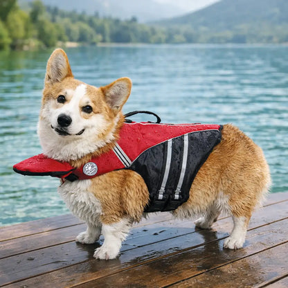 Dog Life Jacket with Handle | Secure Buoyancy & Visibility