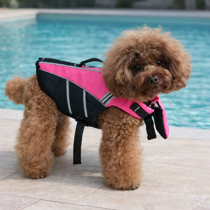 Dog Life Jacket with Handle | Secure Buoyancy & Visibility