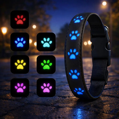 LED dog collar for visibility at night and in darkness