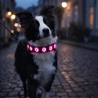 LED dog collar for visibility at night and in darkness