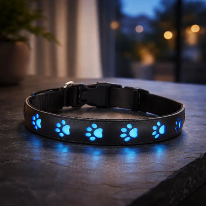 LED dog collar for visibility at night and in darkness