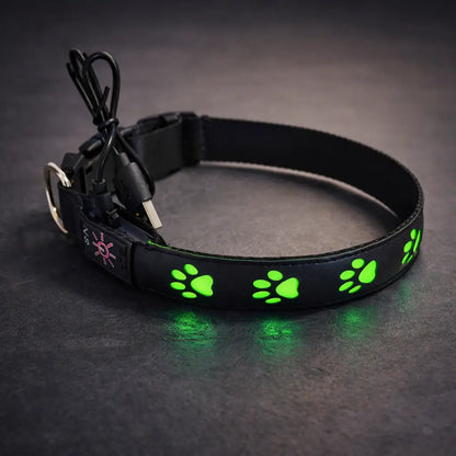 LED dog collar for visibility at night and in darkness