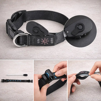 LED dog collar for visibility at night and in darkness