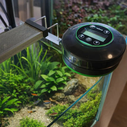 Distributeur automatique de nourriture pour poissons | LCD & contrôle précis des portions