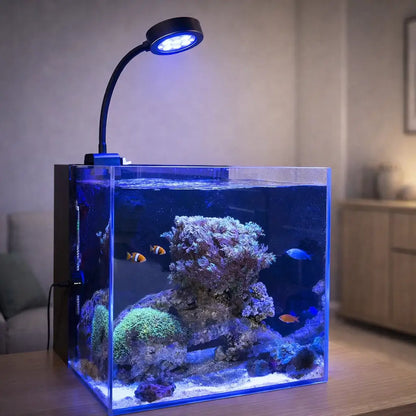 Lampe LED pour aquarium 9W | Lampe clip eau de mer