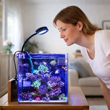 Lampe LED pour aquarium 9W | Lampe clip eau de mer