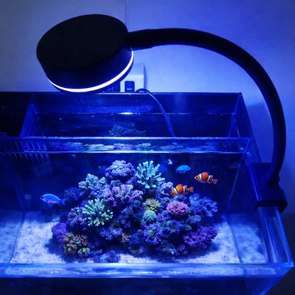 Lampe LED pour aquarium 9W | Lampe clip eau de mer
