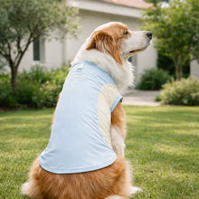 Dog Cooling Shirt for Summer | Breathable Dog Clothing