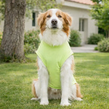 Dog Cooling Shirt for Summer | Breathable Dog Clothing