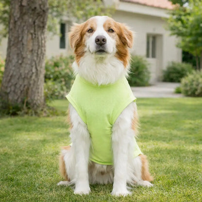 Dog Cooling Shirt for Summer | Breathable Dog Clothing