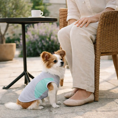 Dog Cooling Shirt for Summer | Breathable Dog Clothing