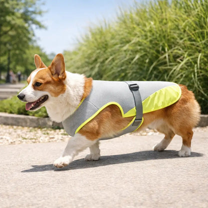 Gilet rafraîchissant pour chien avec fonction harnais – Protection contre la chaleur pour chiens en été
