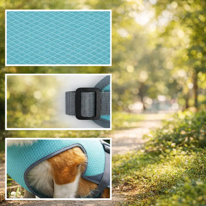 Gilet rafraîchissant pour chien avec fonction harnais – Protection contre la chaleur pour chiens en été