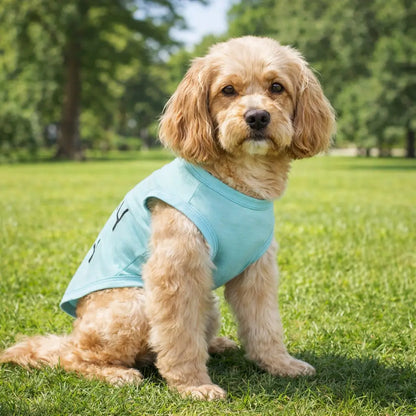 T-shirt pour chien d'été respirant | vêtements légers pour chien