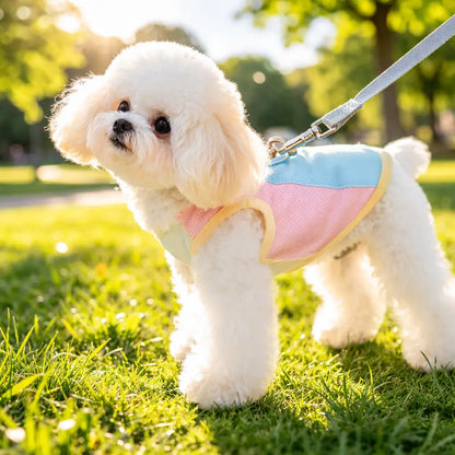 Gilet rafraîchissant pour chien été | vêtements pour chien respirants