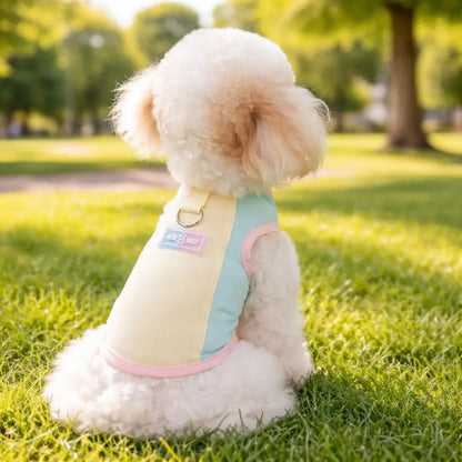 Gilet rafraîchissant pour chien été | vêtements pour chien respirants