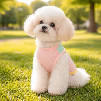 Gilet rafraîchissant pour chien été | vêtements pour chien respirants