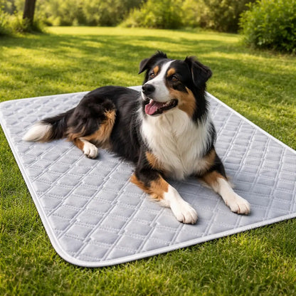Sommer Kühlmatte für Hunde | Atmungsaktiv, Waschbar & Rutschfest