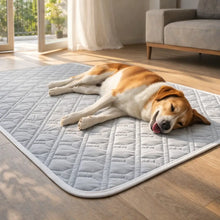 Summer Cooling Mat for Dogs | Breathable, Washable & Non-Slip