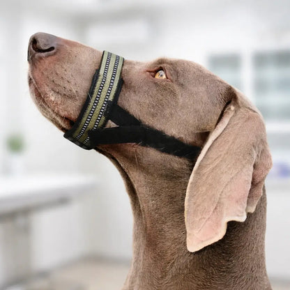 Reflective Dog Muzzle | Adjustable & Secure