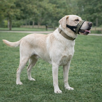 Reflective Dog Muzzle | Adjustable & Secure